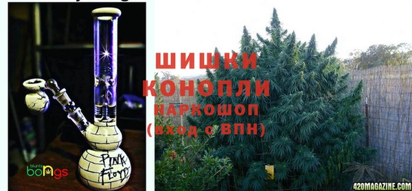 крисы Лиски