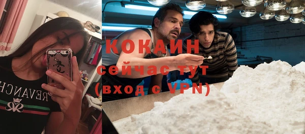 крисы Лиски