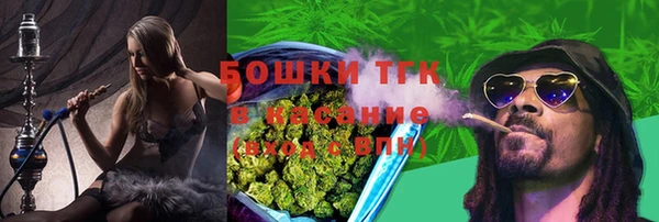 молекула духа Лихославль