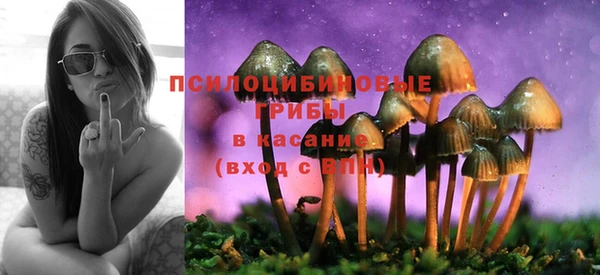 молекула духа Лихославль