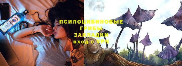 молекула духа Лихославль